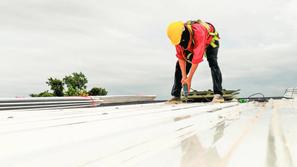 Best Asphalt Shingles Roofing  in Mount Ora, OH