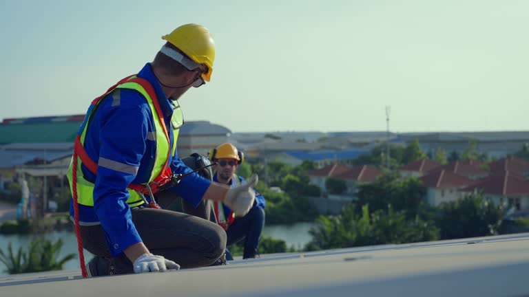 Best Roof Moss and Algae Removal  in Mount Ora, OH